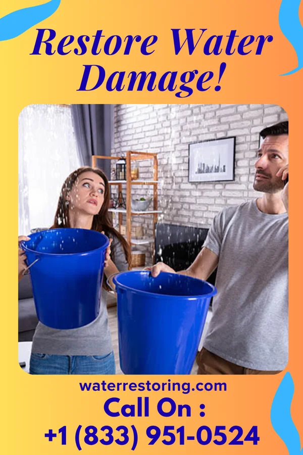 water restoration Patriot Water Mitigation Brothers Beeville