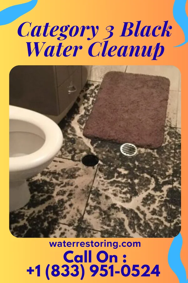 Category 3 Black Water Cleanup in Beeville, TX