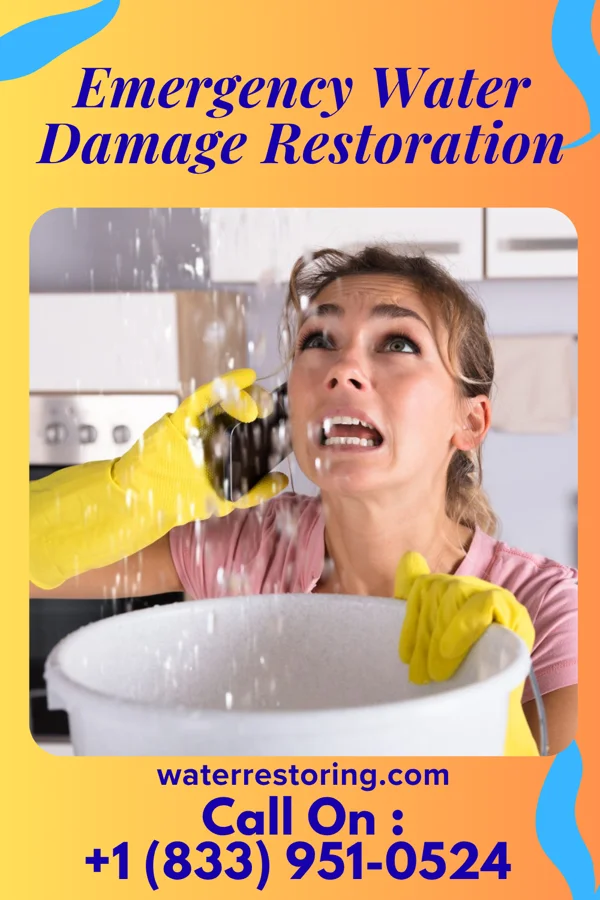 Emergency Water Damage Restoration in Beeville, TX